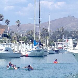 ⭐️ Posh Ambassador 2 ⭐️